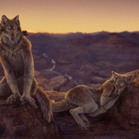 starting of an evening slumber