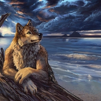 wolf by the sea