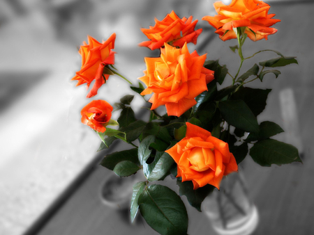 A special bouquet of roses - roses, orange roses, beautiful, bouquet, vase