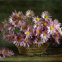 still life