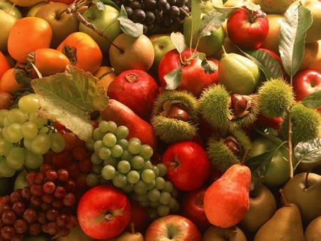 FRUITS - usa, vegetables, nature, fruits