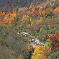 Smokey Mountain Fall