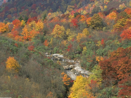 Smokey Mountain Fall - fall, mountains, autumn, creek