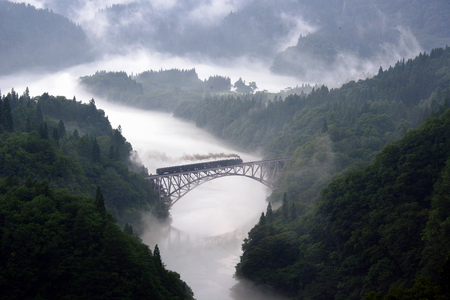 Bridge over Misty Water - bridge, forest, mist, river