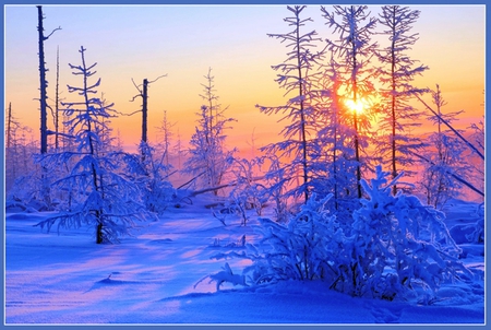 Sunset Blues in Winter - winter, sunset, blue, red, cold, snow, frost, sky