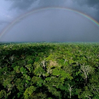 Amazon Rainbow