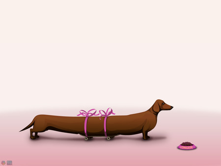 My Little Dog - food, dog, long, puppy, dachshund, ribbons