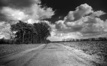 the way that leads to - tree, road, clouds