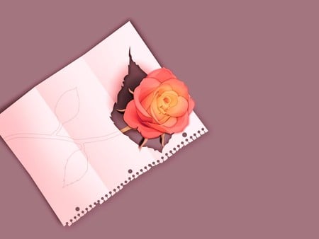 Rose Through A Sketch - pink mauve, abstract, sketch, rose, 3d and cg