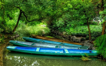 dragon boats - nature, boats, wide, natute, other