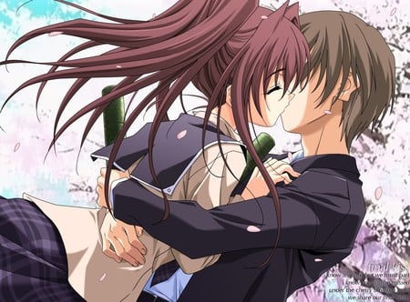 Final Kiss - dc ii, da capo, junichi, final kiss, otome, anime, sakura trees