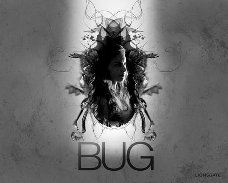 Bug 2007 - women, celebrities, ashley, bugs, promos, judd, bug