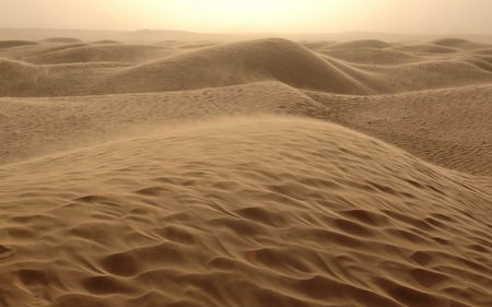 Sand and Desert Dunes - dunes, sand, desert