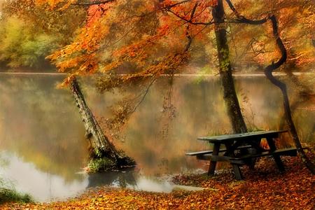 autumn bench - season, lake, autumn