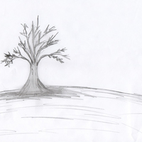 Tree (BEFORE) Hand Drawn Wallpapers