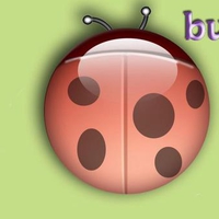 Ladybug