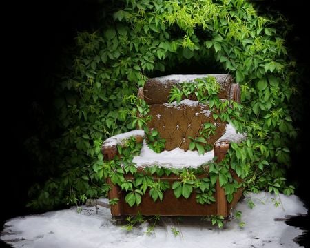 chair of........ - winter, leaves, wreaths, chair, snow, cold