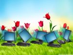 desktops in garden