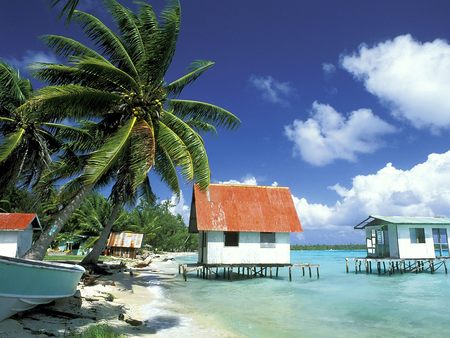 Black Pearl  - beach, trees, houses, clouds