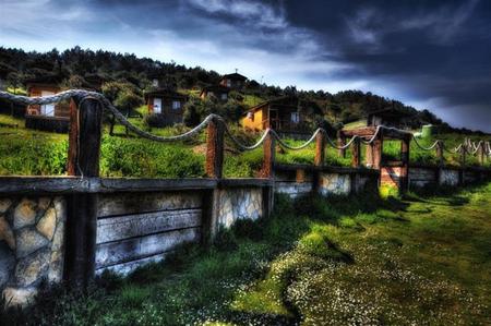 golden beach - nature, grass