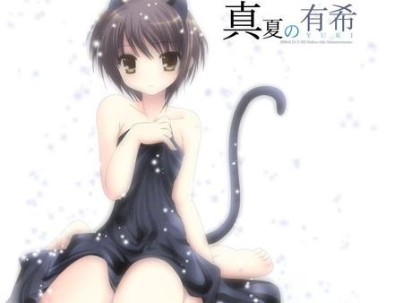 Yuki - cat, snow, yuki, anime, miracle, nekko, heaven, cat ears