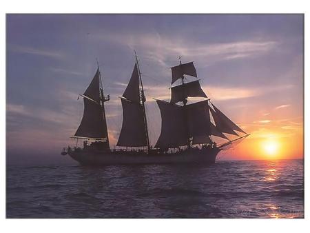 sailing into the sunset - sunset, ocean, water, sailboat