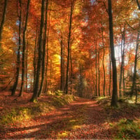 Autumn-HDR