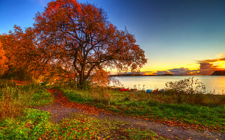 Beautiful Autumn - magic, colorful, sunset, view, river, grass, boat, lake, boats, landscape, way, nature, beautiful, leaves, sunrise, beauty, autumn, sky, trees, peaceful, water, autumn leaves, path, fall, pretty, clouds, green, tree, lakeside, lovely, plants, autumn colors, splendor, colors