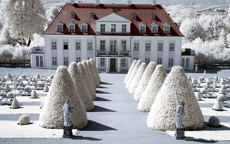 white winter - house, trees, winter, photography, snow, beauty, architecture