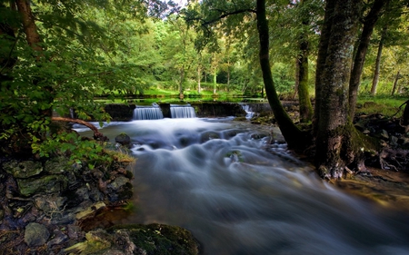 River View - nature, view, trees, forest, river, beautiful, water, green