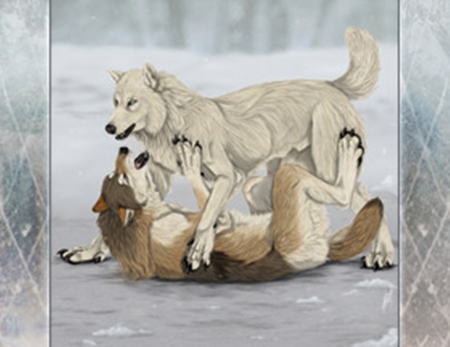 mates for life - wolves, wolf, mate, mates, snow, ylva