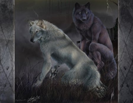 in the storm - wolf, wolves, storm, snow