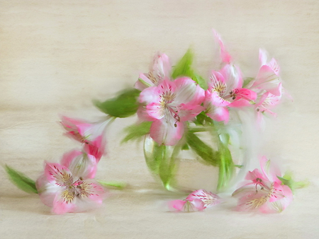 Delicate flowers - white, nature, delicate, pink, flowers, vase