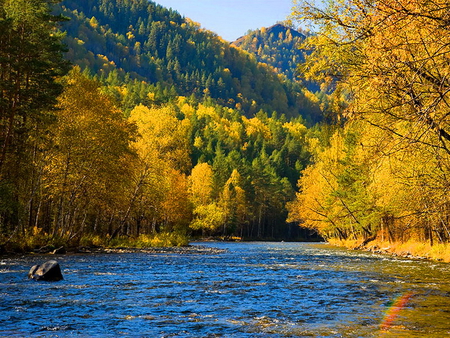 Autumn came - come, season, lake, rivers, trees, nature, mountain, came, autumn