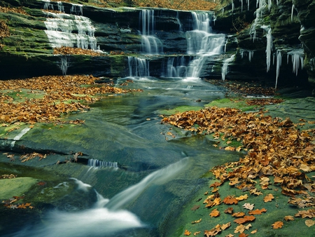 Waterfall-Near-LaSalle-Canyon - leafs, waterfalls, nature, falls, canyon