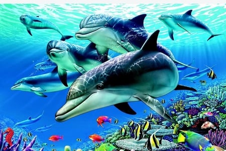 PARADISE UNDER THE SEA - sea, paradise, dolphins, under