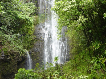 High Waterfall - water, falls, high, trees