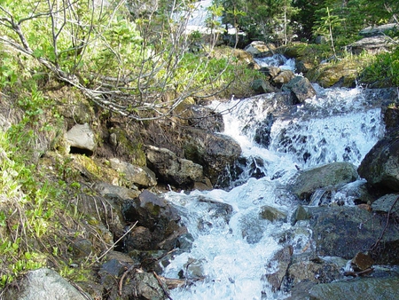 Rolling River - river, water, tree, rolling