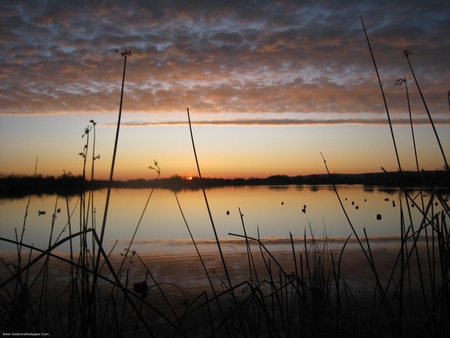 Very Quiet - quiet, sunrise, lake, dusk, ducks