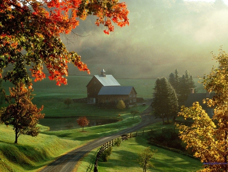 after the rain - beauty, sky, autumn, trees, nature, fall, grey, clouds, green