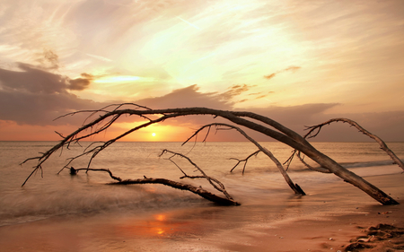 Sunset - clouds, wood, beach, sea, ocean, reflection, sand, sunset, nature, waves, sun, sky