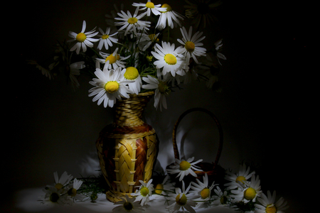 Still Life - pretty, vase, beautiful, daisy, petals, still life, dark, flowers, basket, daisies