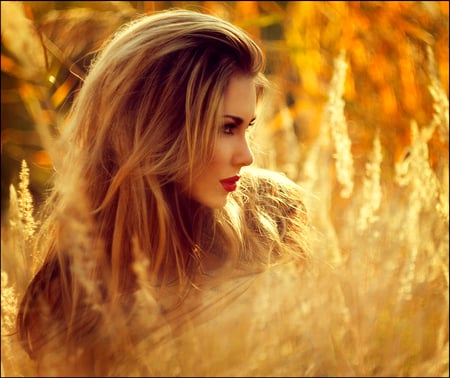 Dreaming about love - love, autumn, girl, golden, dream, blonde