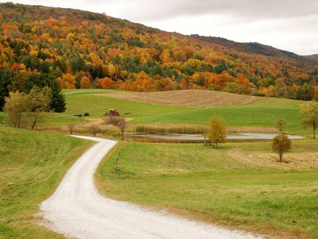 Autumn Trees - field, sky, trees, autumn