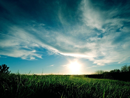 Morning Rise - sky, sun, clouds, grass