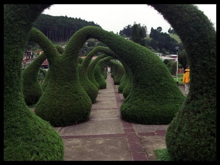 Bush Arches - arches, sky, trim, bush