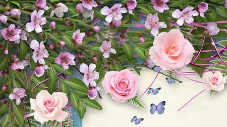 Sakura Simplicity - roses, sakura, summer, cherry blossoms, butterflies, spring, pink, firefox persona, butterflie