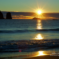 The beach at sunset