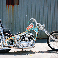 Hog Killer