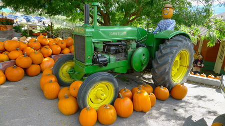 The Pumpkin picker - tractor, halloween, pumpkins, farm, crop